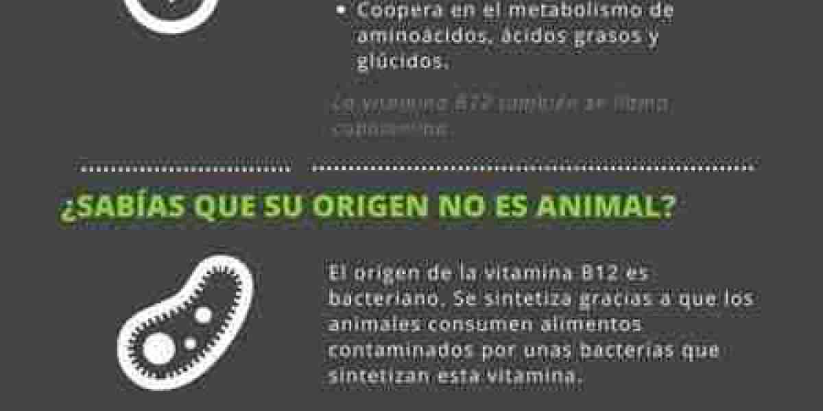 ¿Es peligroso el nivel alto de vitamina B12 en la sangre? Qué hacer en estos casos SaúdeLab