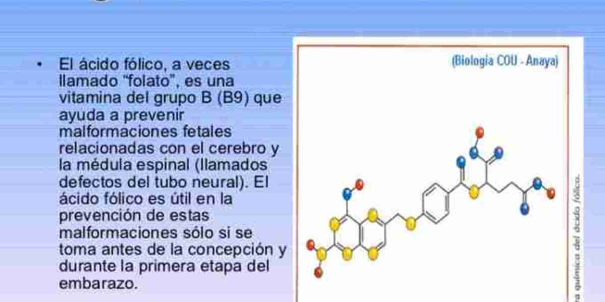 El Ácido Fólico: ¿Un Aliado para Perder Peso o un Obstáculo en tu Dieta?